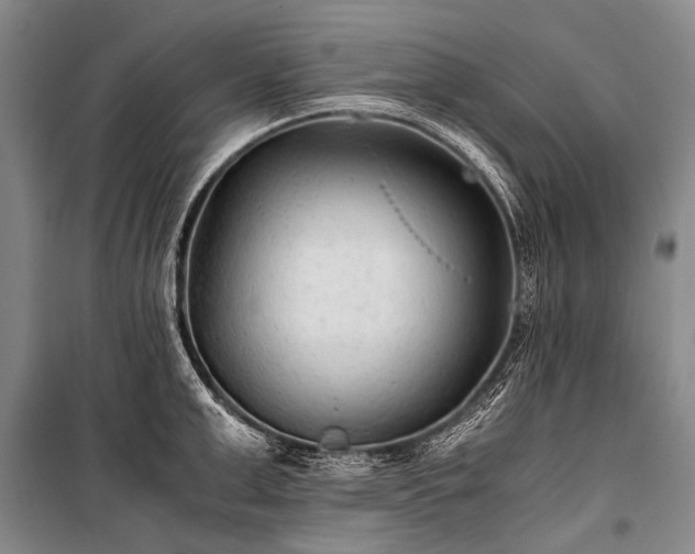 X0000100940999200807011241