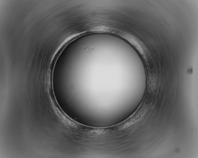 X0000100941000200807011241