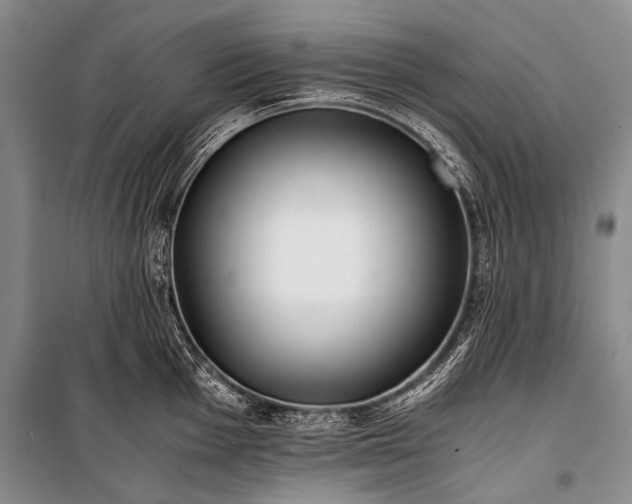 X0000100941001200807011241