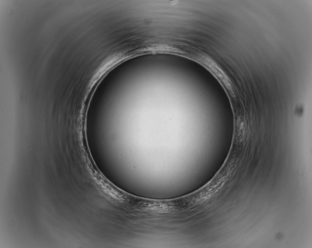 X0000100941002200807011241