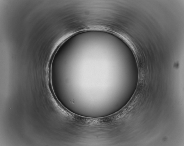 X0000100941003200807011241