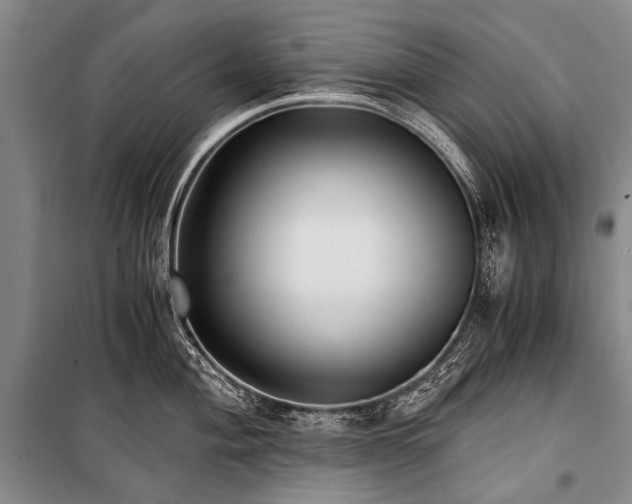 X0000100941004200807011241