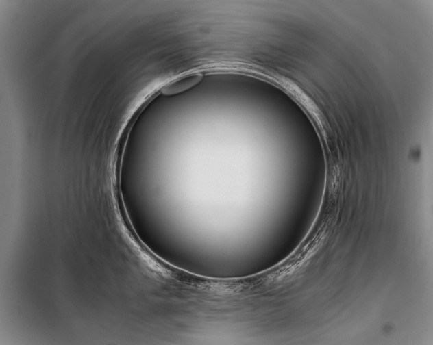 X0000100941005200807011240