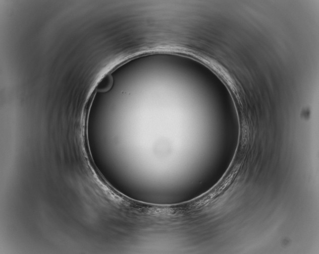 X0000100941006200807011240