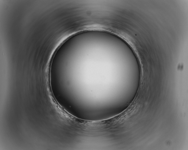 X0000100941008200807011240