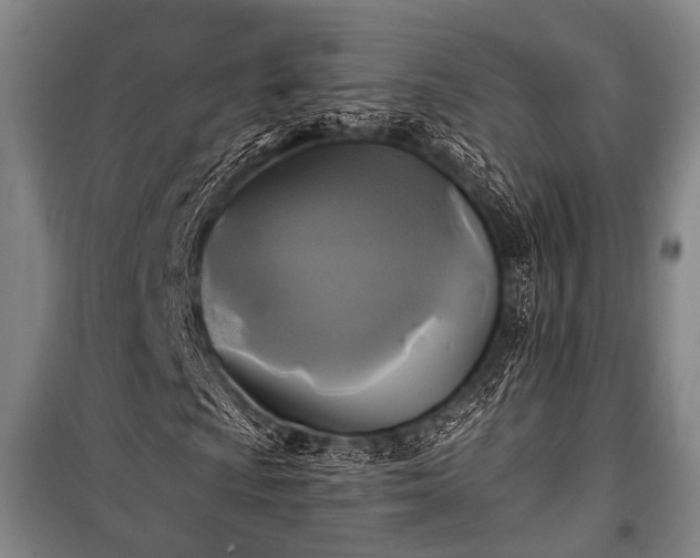 X0000100941009200807011240