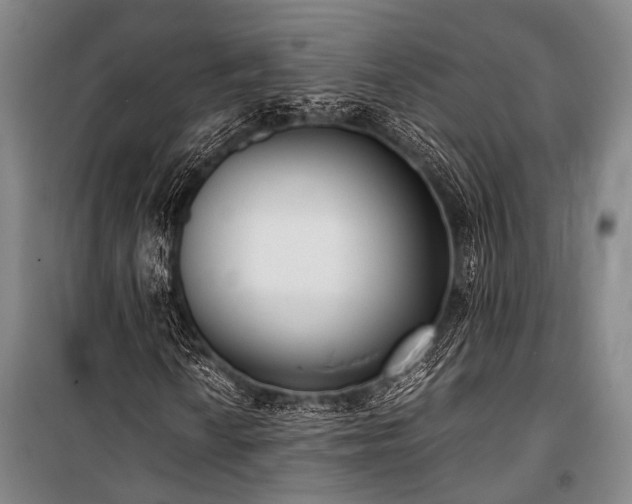 X0000100941010200807011240