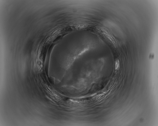 X0000100941011200807011240