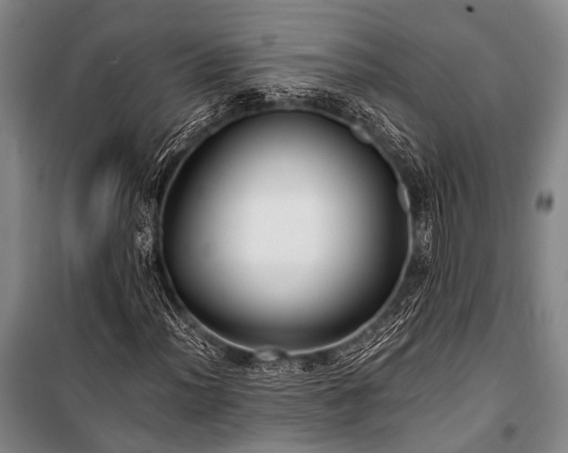 X0000100941012200807011240