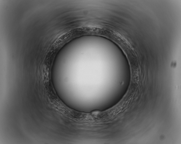 X0000100941013200807011240