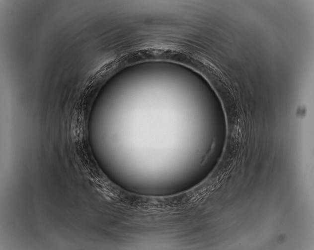 X0000100941014200807011240