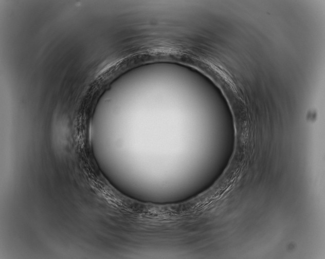 X0000100941015200807011240