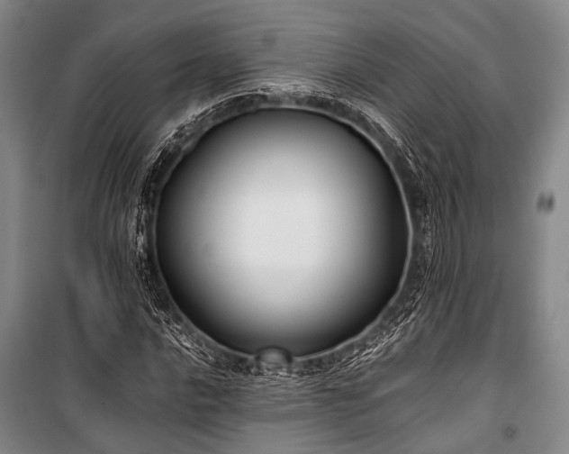 X0000100941016200807011240