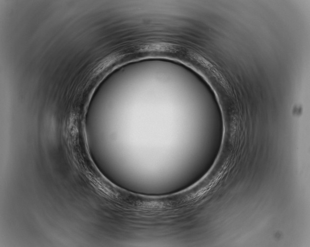 X0000100941017200807011240