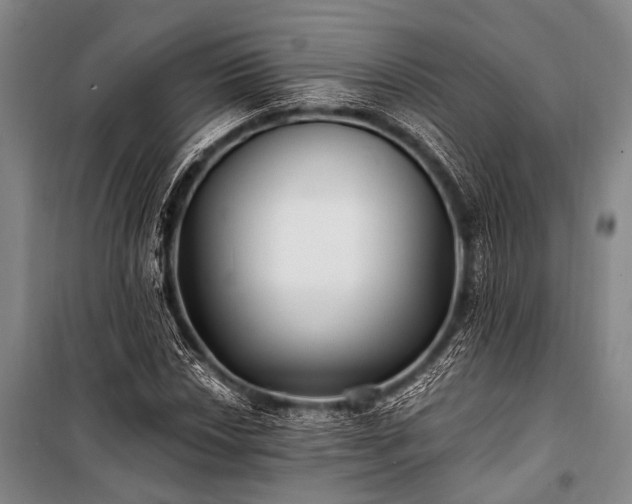 X0000100941018200807011240