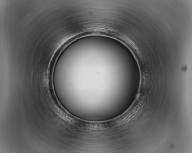 X0000100941020200807011240