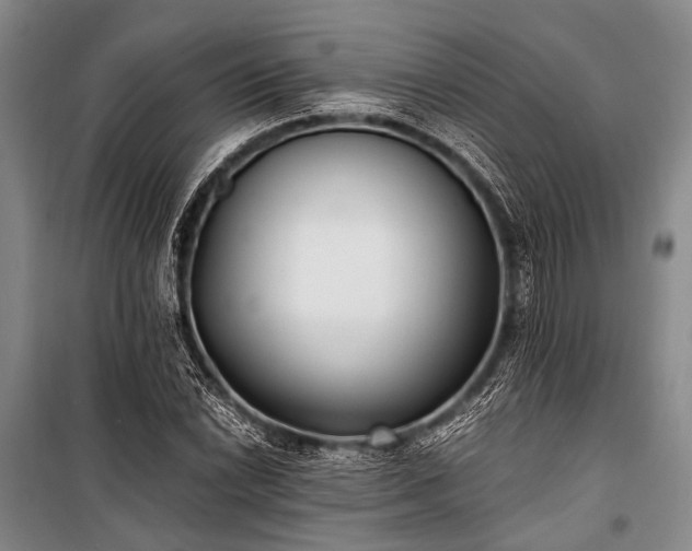 X0000100941022200807011240