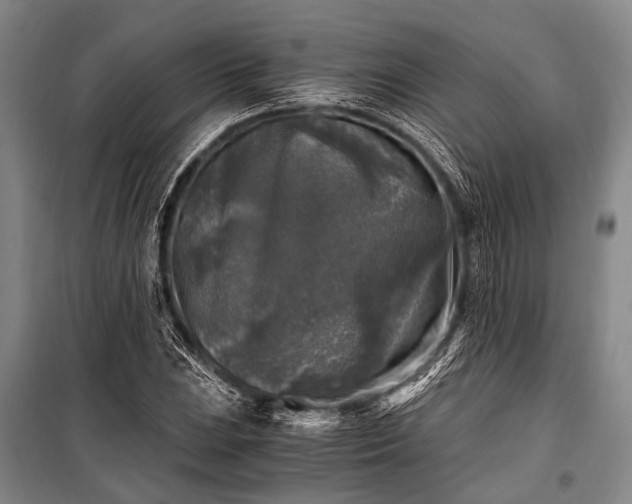 X0000100941023200807011240