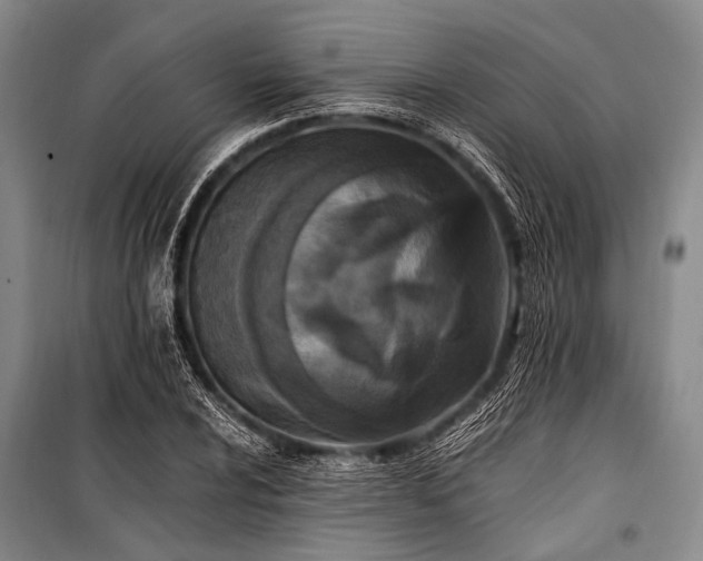 X0000100941024200807011240