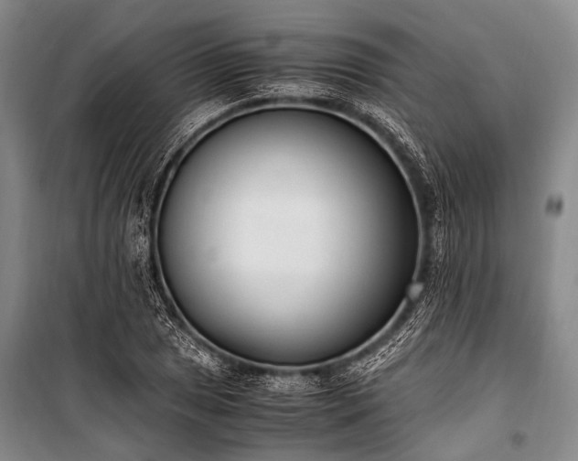 X0000100941025200807011240