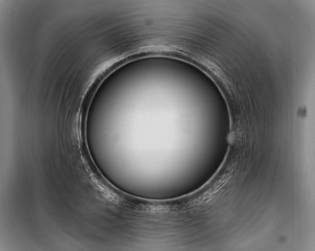 X0000100941030200807011240