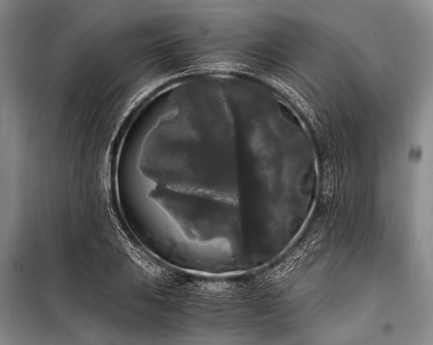 X0000100941031200807011240