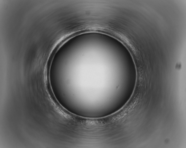 X0000100941032200807011240