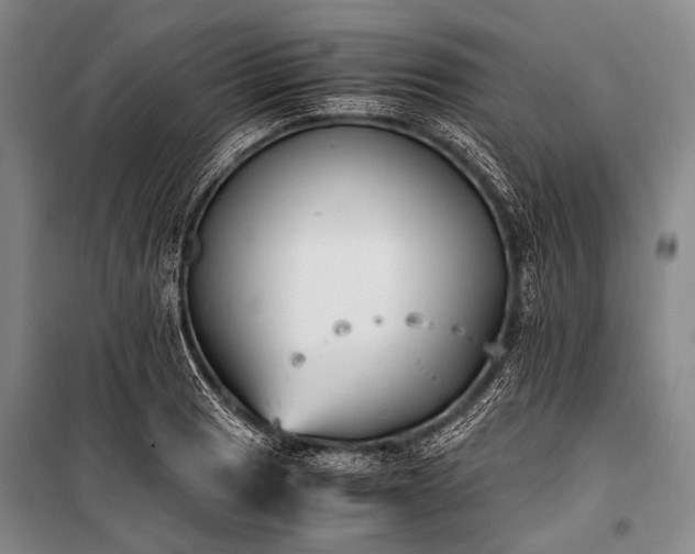 X0000100941033200807011240