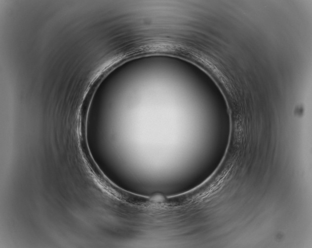 X0000100941034200807011240