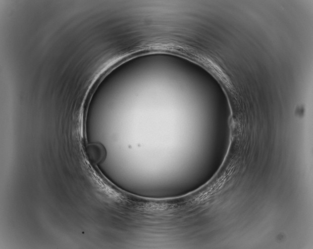 X0000100941036200807011240