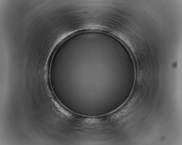 X0000100941037200807011240