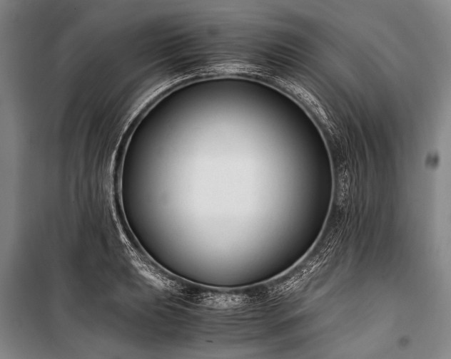 X0000100941039200807011240