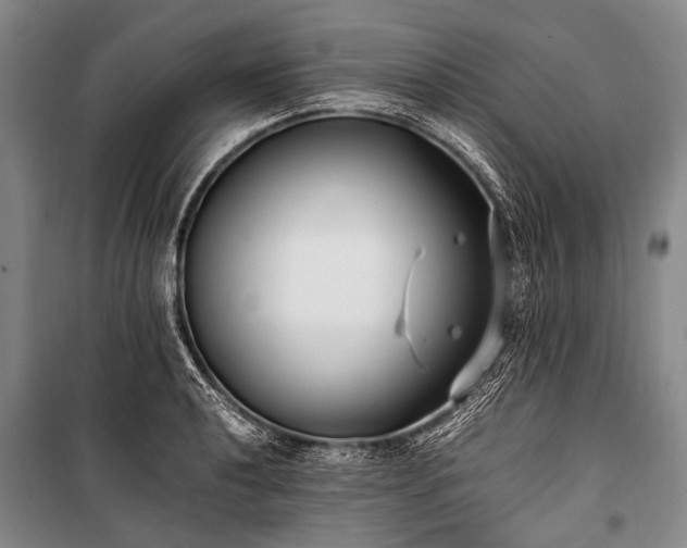 X0000100941040200807011240