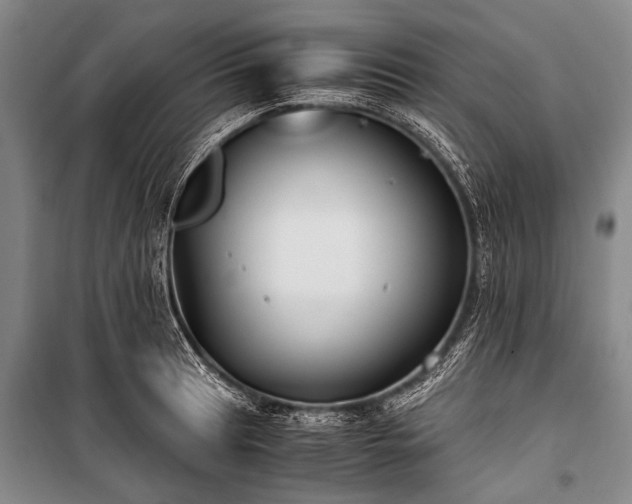 X0000100941041200807011240