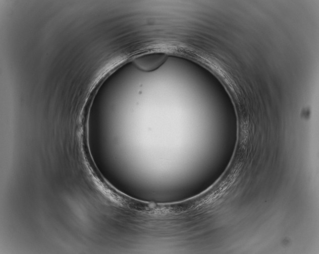 X0000100941042200807011240