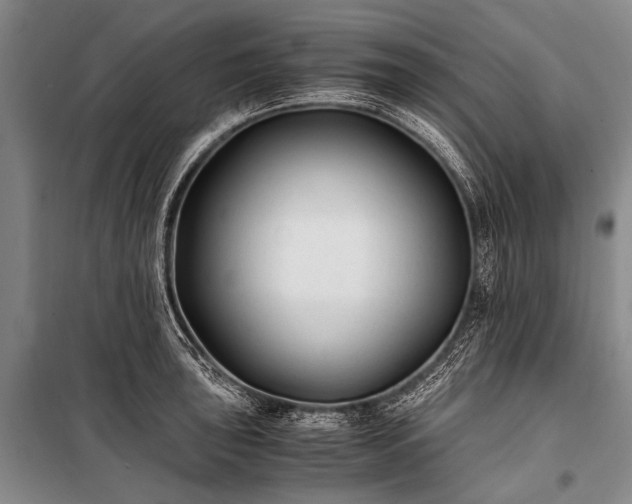 X0000100941043200807011240