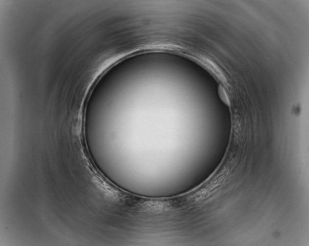 X0000100941044200807011240