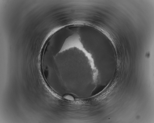 X0000100941045200807011240