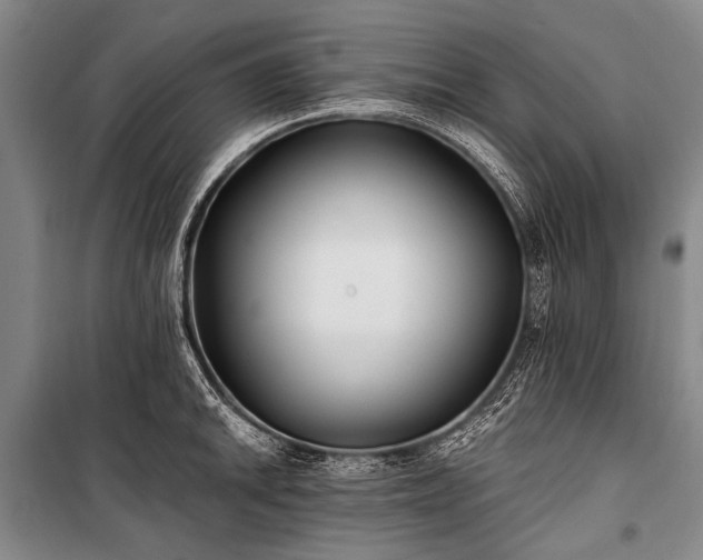 X0000100941046200807011240