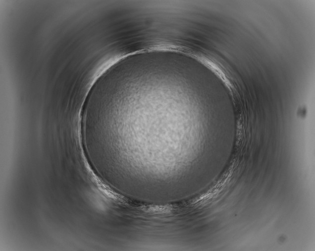 X0000100941047200807011240