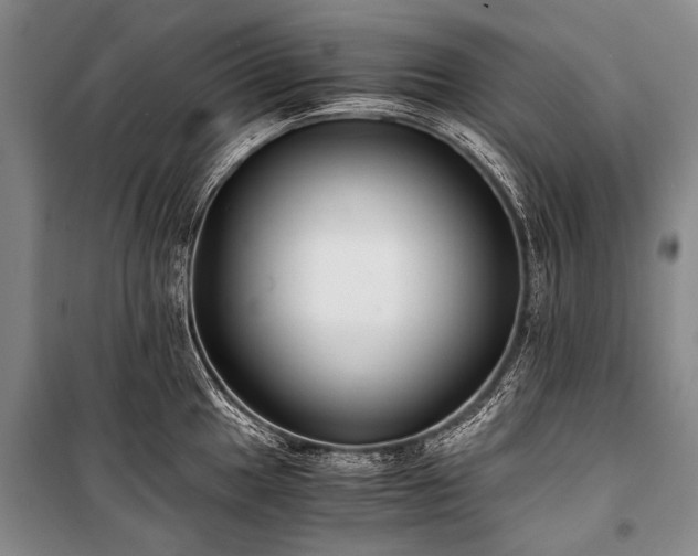 X0000100941049200807011240