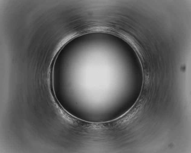 X0000100941050200807011240