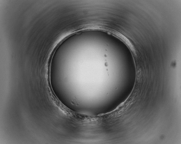 X0000100941051200807011240