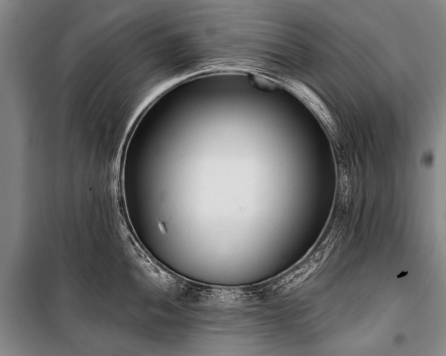 X0000100941052200807011240