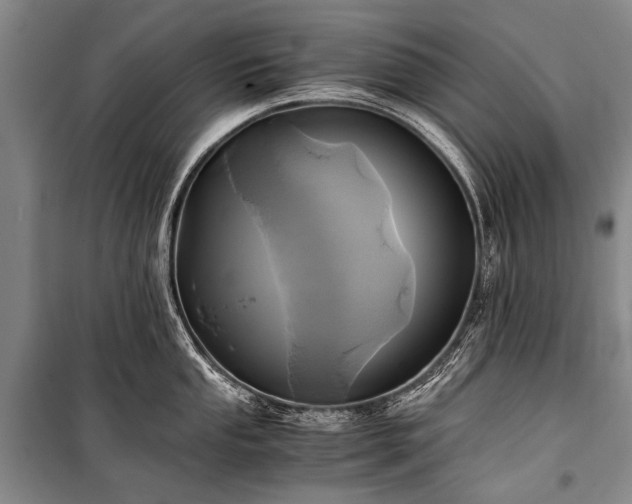 X0000100941053200807011240