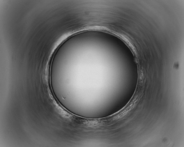 X0000100941054200807011240