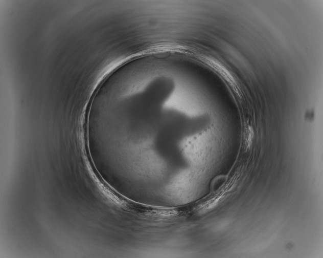 X0000100941055200807011240