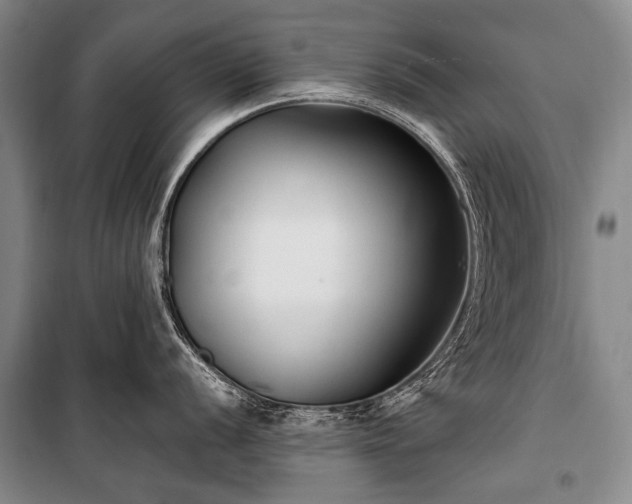 X0000100941056200807011240