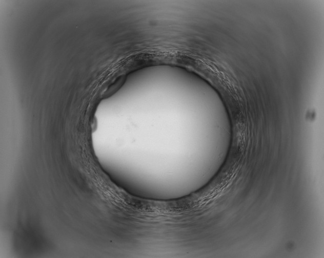 X0000100941057200807011240