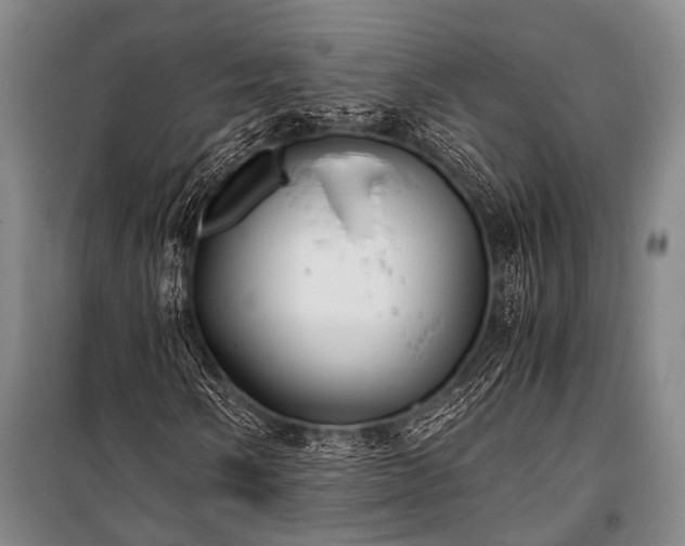 X0000100941058200807011240